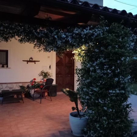 B&B Il Tiglio Padula Zewnętrze zdjęcie