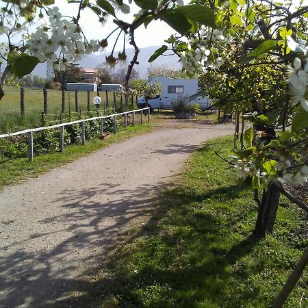 B&B Il Tiglio Padula Zewnętrze zdjęcie