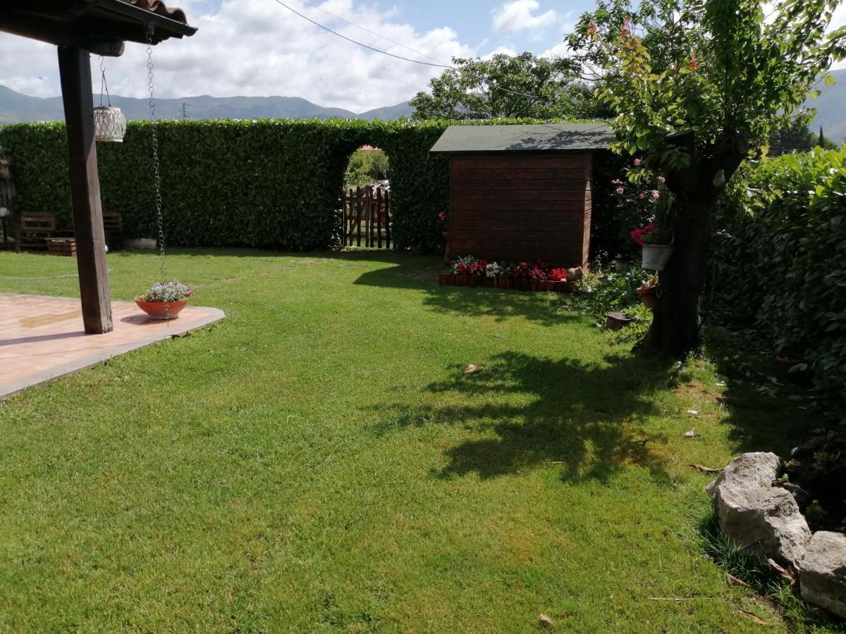 B&B Il Tiglio Padula Zewnętrze zdjęcie