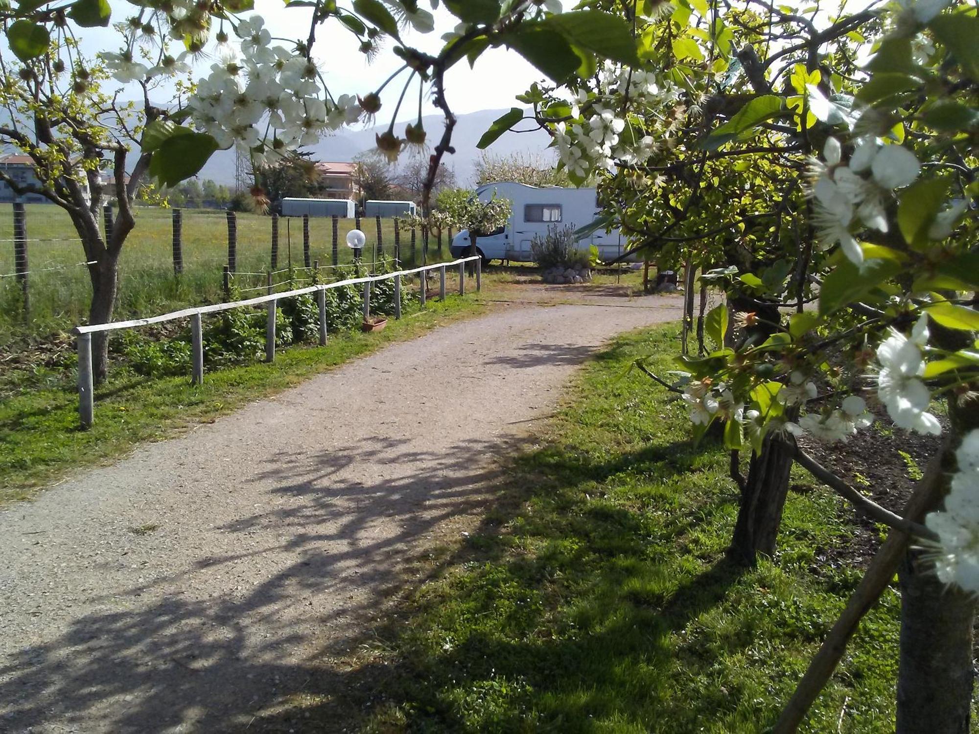 B&B Il Tiglio Padula Zewnętrze zdjęcie