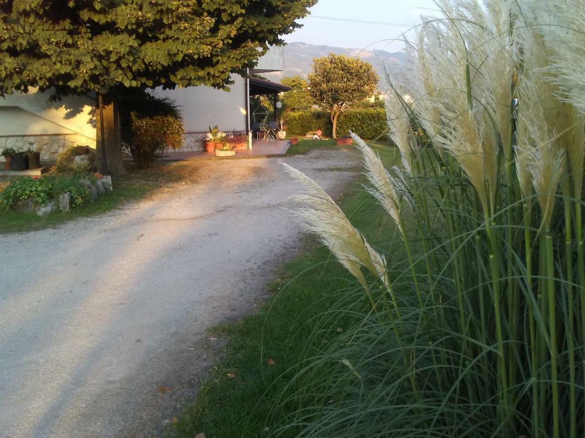 B&B Il Tiglio Padula Zewnętrze zdjęcie
